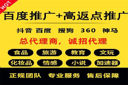 百度推广在旅游行业的应用案例