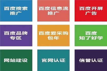 百度推广代运营案例：案例分享：打造行业领军品牌
